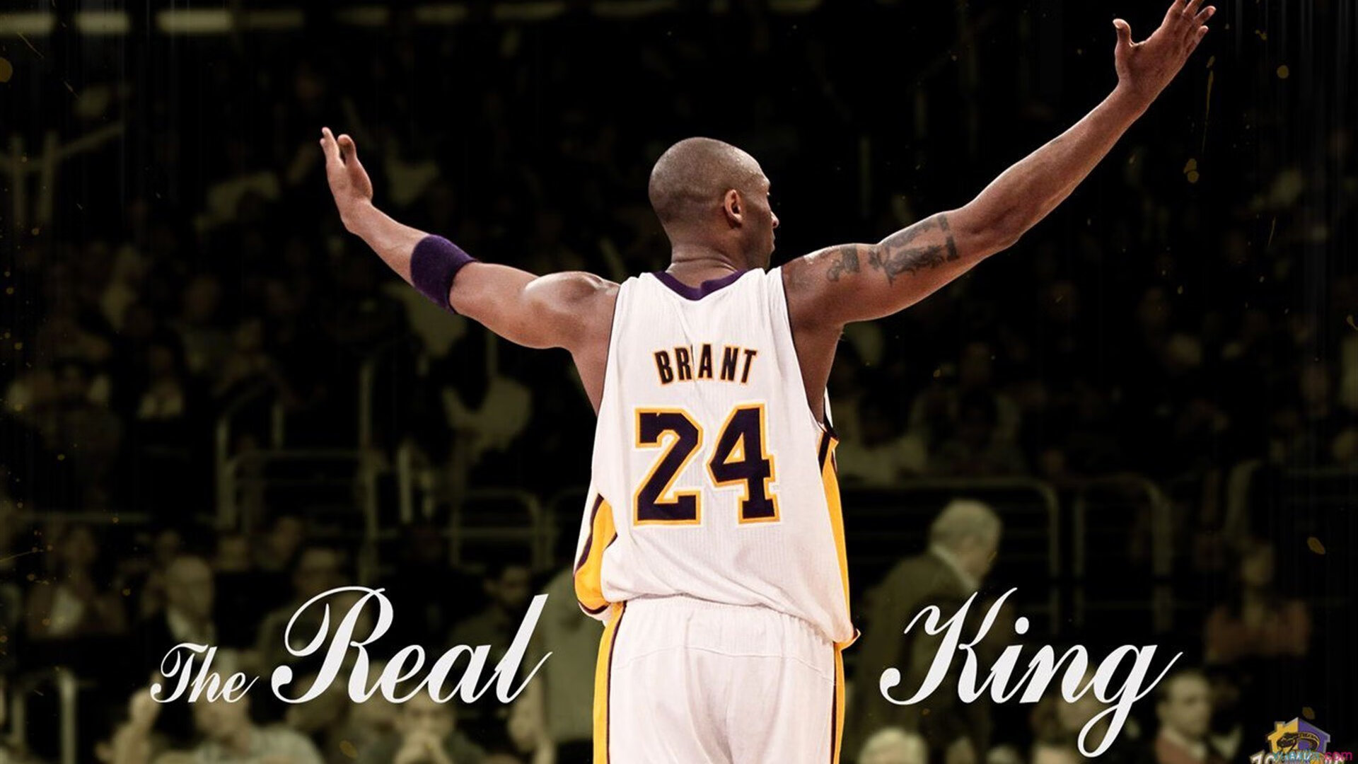 电竞赛事赞助周期缩短影响长期发展计划，电竞比赛赞助回报方案